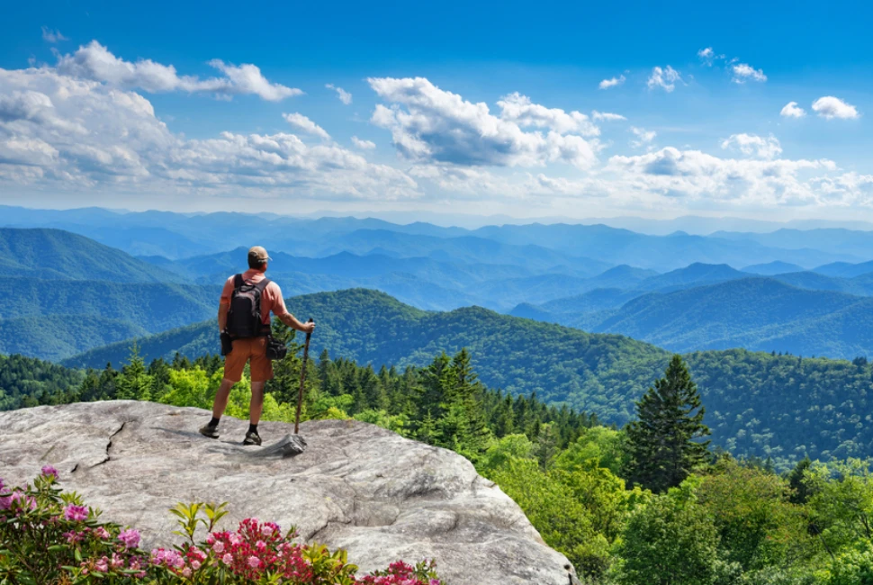 The Best Hiking Trails in Asheville, NC