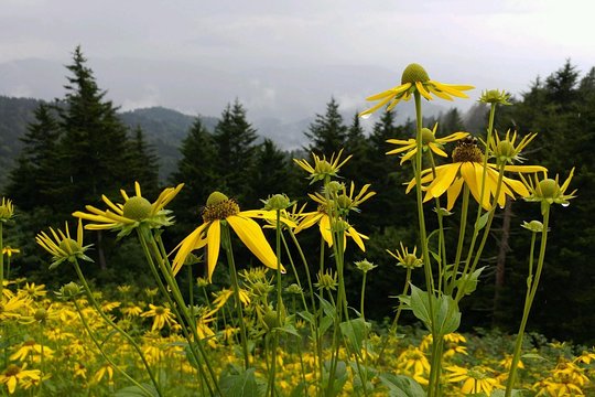 Tour image 7
