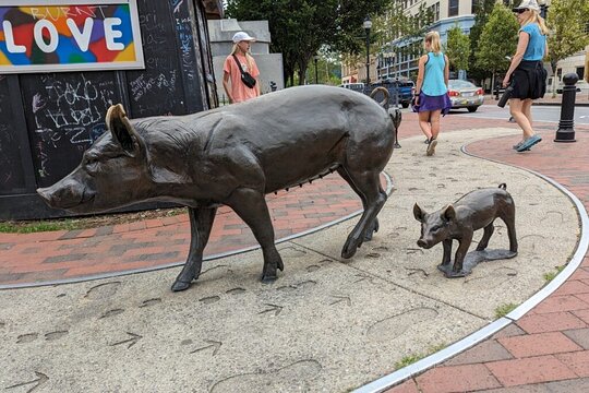 Tour image 6