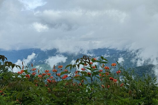 Tour image 13
